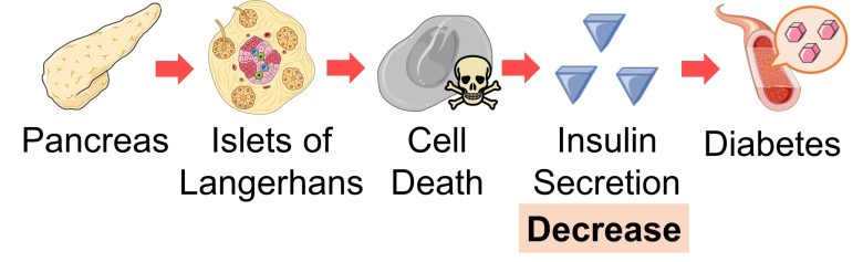 Mechanisms of How EMFs Affect Health | Consequences of Cell Death