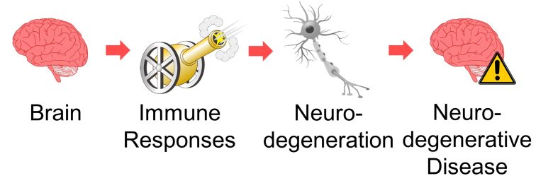Mechanisms of How EMFs Affect Health | Consequences of Cell Death