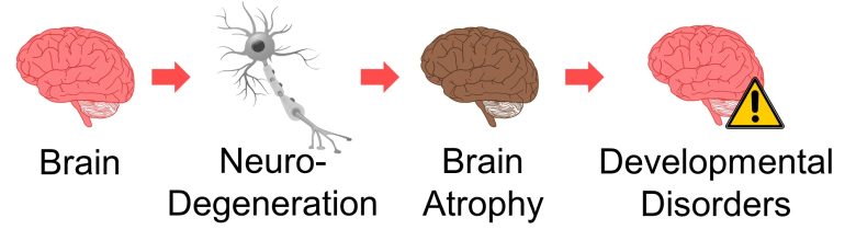 Mechanisms of How EMFs Affect Health | Consequences of Cell Death